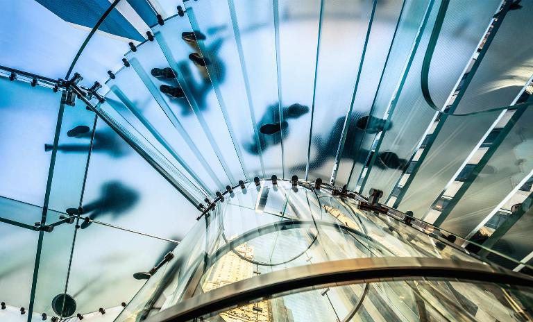 The dynamic American business community in Germany is hoping for stable market conditions