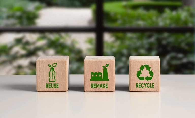 Discover how businesses can transition from a linear to a circular economy model, addressing climate change, resource scarcity, and sustainability.