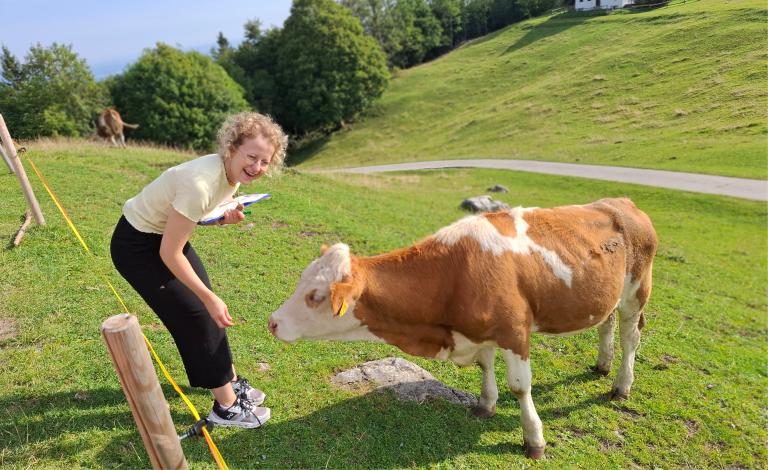 Eva counting and taking care of the heifers