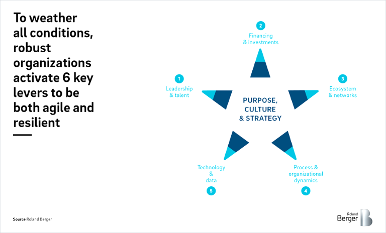 To weather all conditions, robust organizations activate 6 key levers to be both agile and resilient