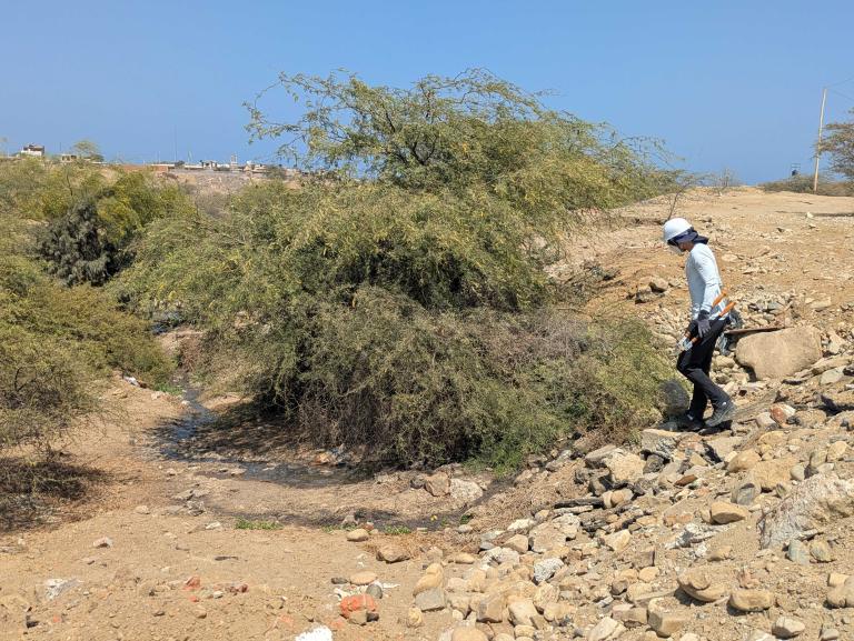 Wastewater spill has already formed a small river, and horses/dogs have been drinking the contaminated water. The open pipe is located beneath the stones (on the right side)