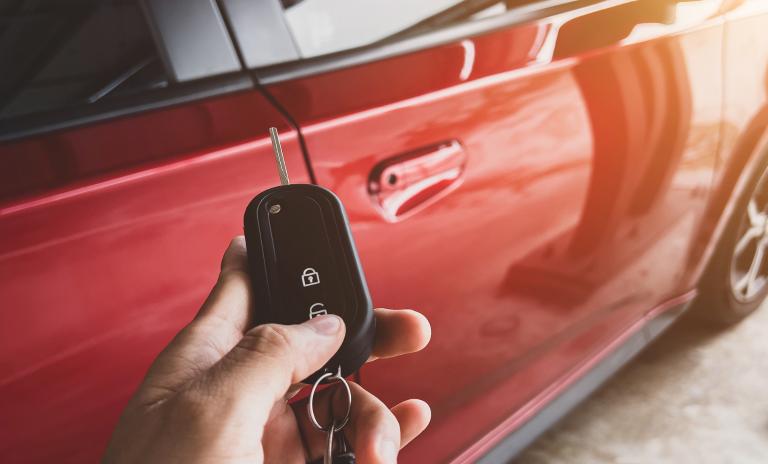 Car as a Service in the Netherlands