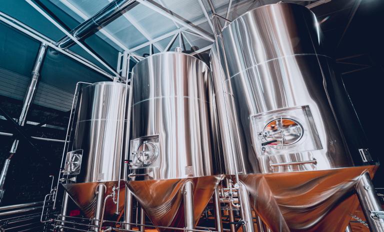 The promise of precision fermentation: Can it really change the game?