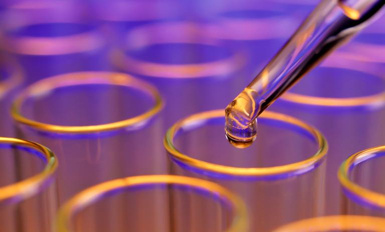 Transforming Europe's Chemical Industry: Decarbonization and Circular Ecosystems