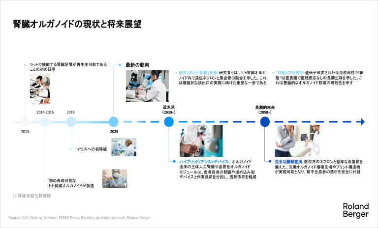 腎臓オルガノイドの現状と将来展望