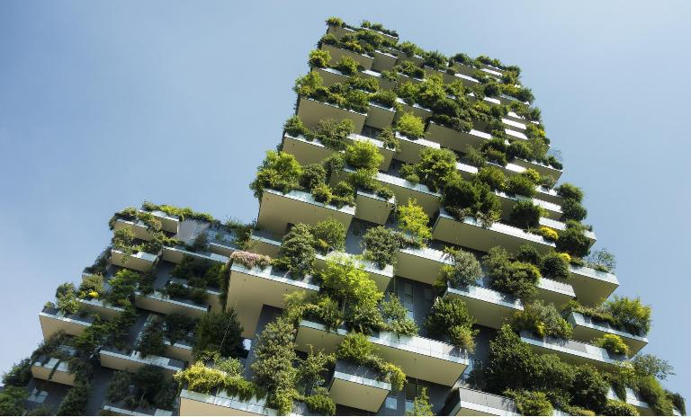 Why it is relevant to develop a net zero strategy now
