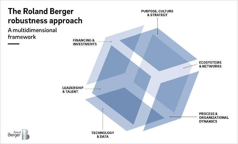 Robust Organization: a new holistic approach to make the difference
