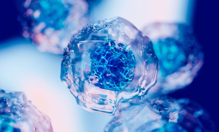 Genetic material is inserted into a cell