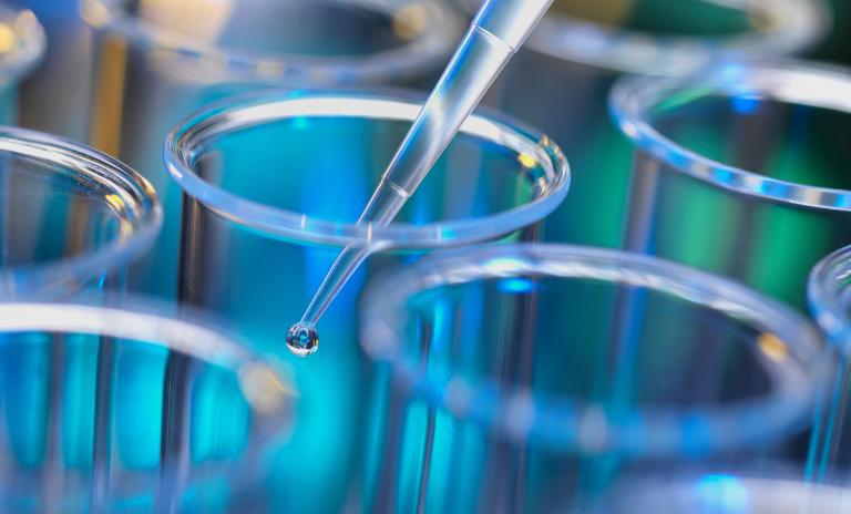 Die Biotechnologie ist eine der weltweit am dynamischsten wachsenden Wissenschaftszweige