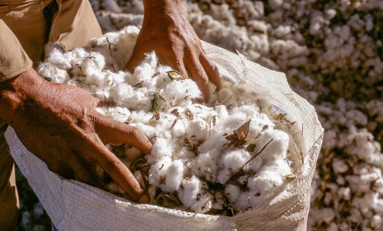 l'action climatique dans l'industrie de la mode