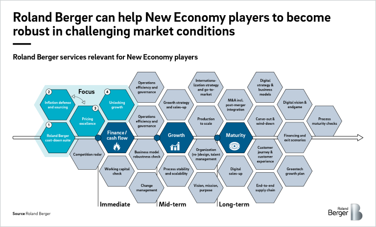 Roland Berger services relevant for New Economy players