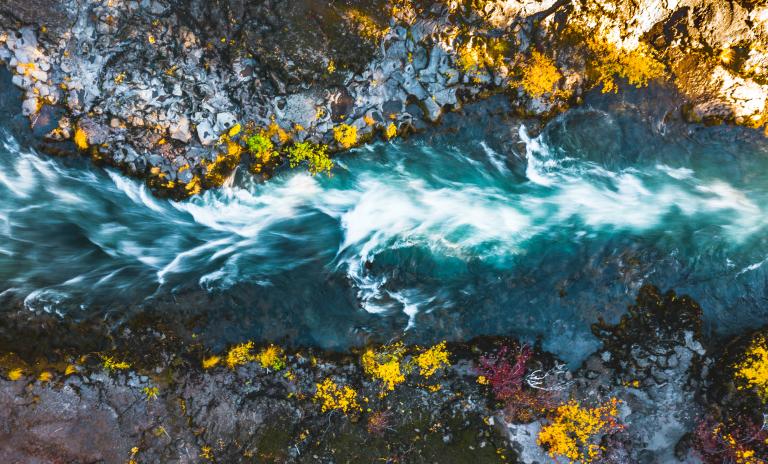 The survey findings suggest the current of capital will flow toward water investments in 2025.