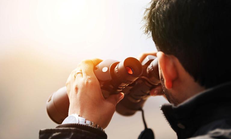 RIDING THE TIGER: India's impressive business potential is garnering significant attention.