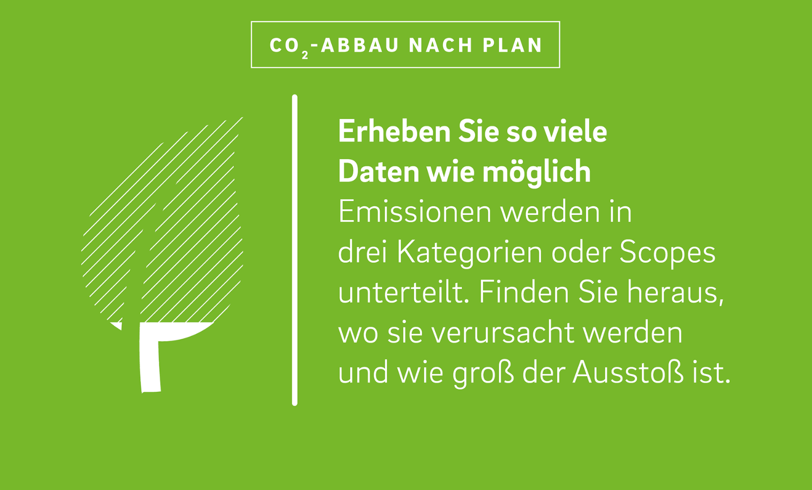 Neben der Illustration eines Blattes steht der Text:
„Erheben Sie so viele Daten wie möglich
Emissionen werden in drei Kategorien oder Scopes unterteilt. Finden Sie heraus, wo sie verursacht werden und wie groß der Ausstoß ist.“