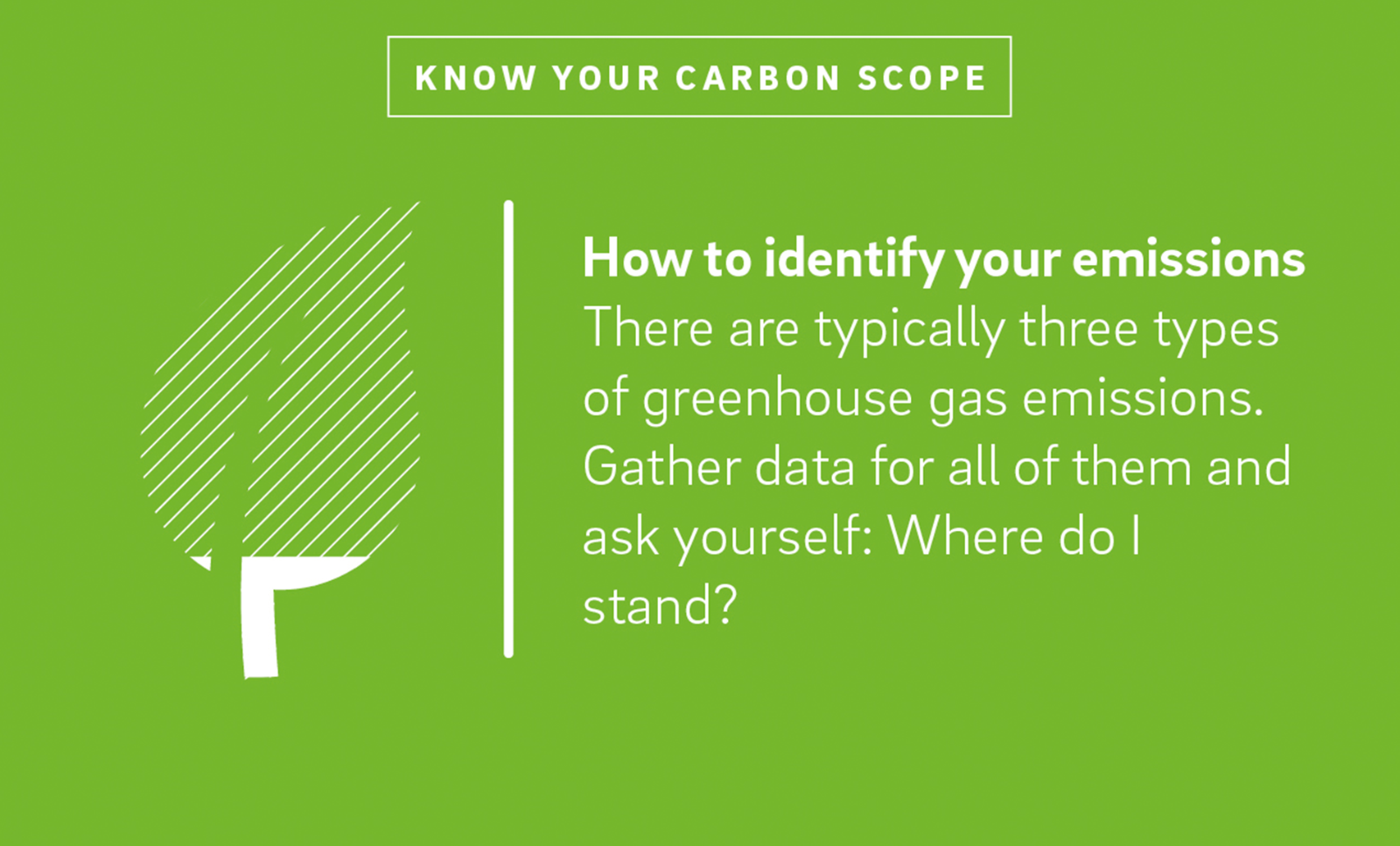 A leaf illustration next to the text "How to identify your emissions There are typically three types of greenhouse gas emissions. Gather data for all of them and ask yourself: Where do I stand?