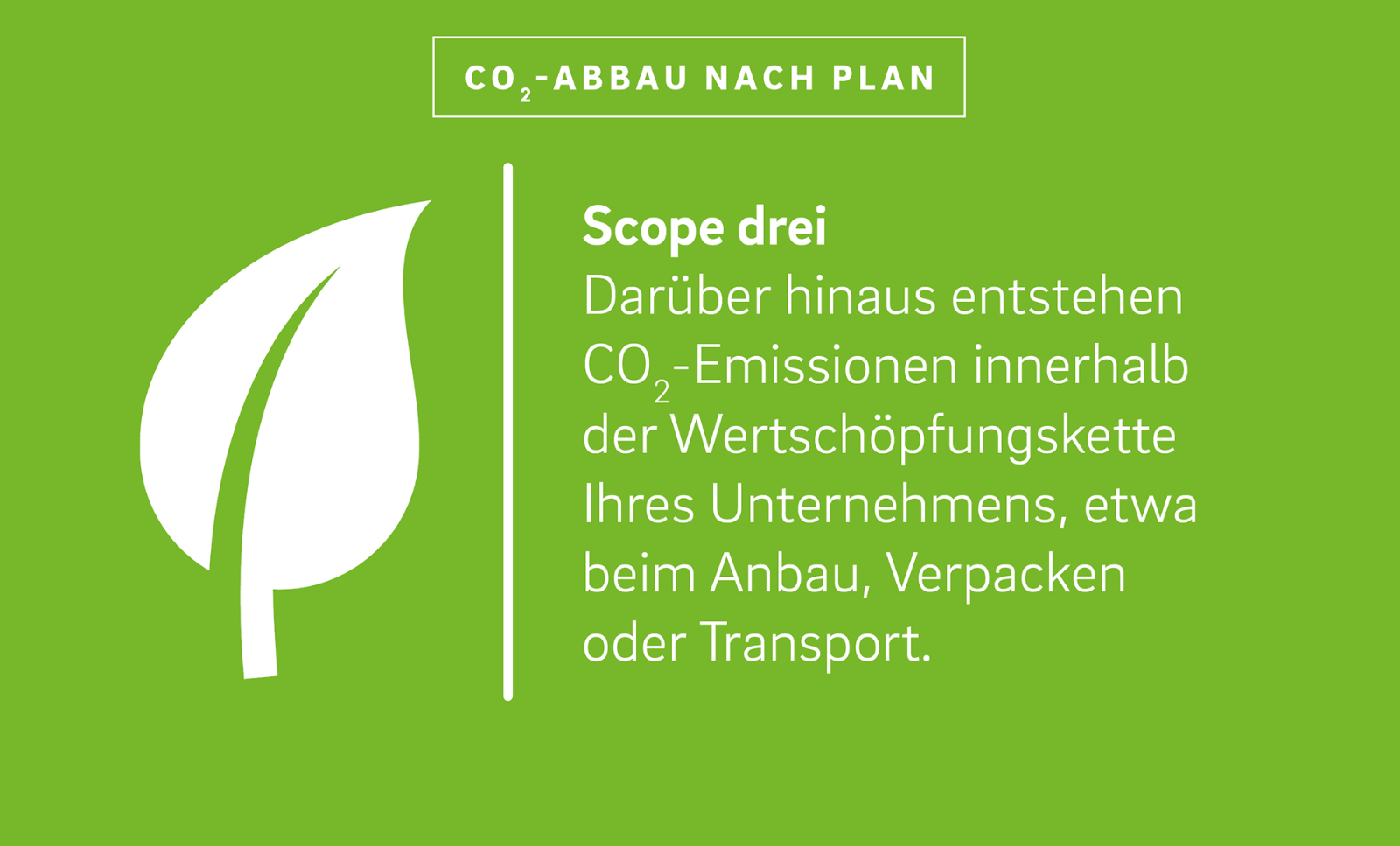 Neben der Illustration eines Blattes steht der Text:
„Scope drei
Darüber hinaus entstehen CO2-Emissionen innerhalb der Wertschöpfungskette Ihres Unternehmens, etwa beim Anbau, Verpacken oder Transport.“