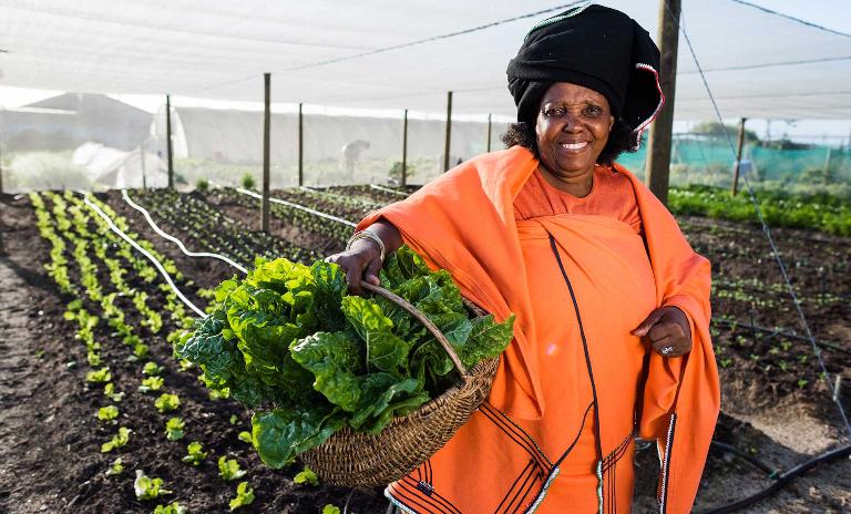 Female entrepreneurs are numerous in Africa.