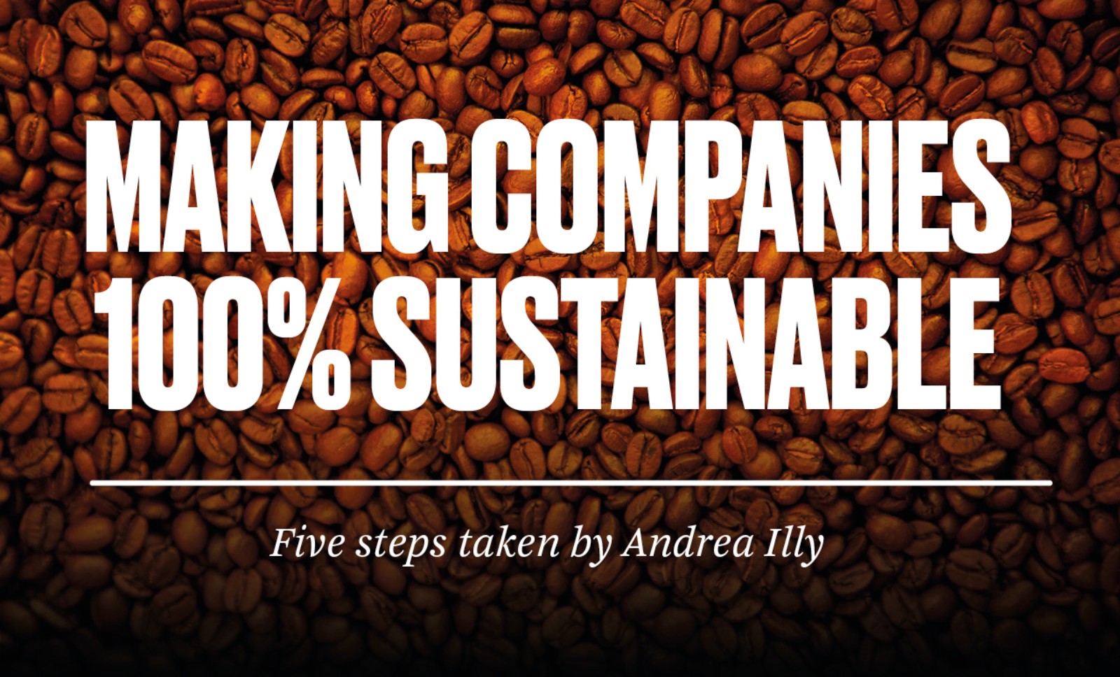 The title "Making companies 100% sustainable" and the teaser below "Five steps taken by Andrea Illy" are in front of a coffee bean background.