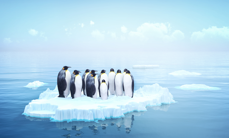 Le changement climatique est le défi majeur du PTIe siècle.