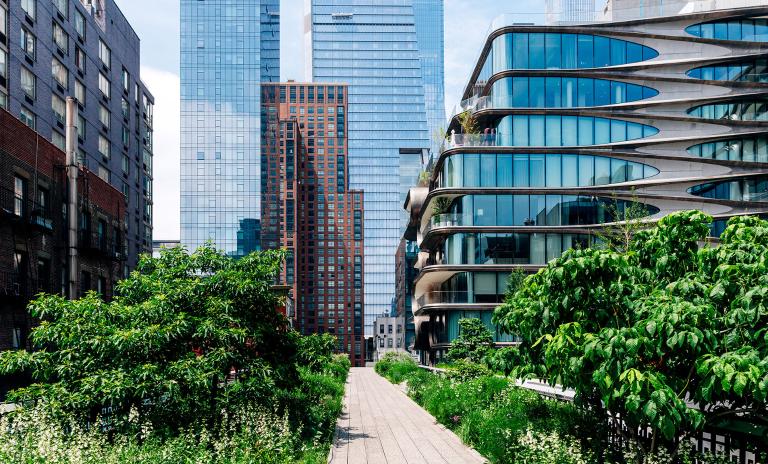 office building with green garden