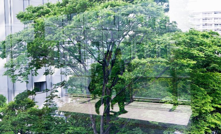Banks are increasingly integrating ESG into their business model.