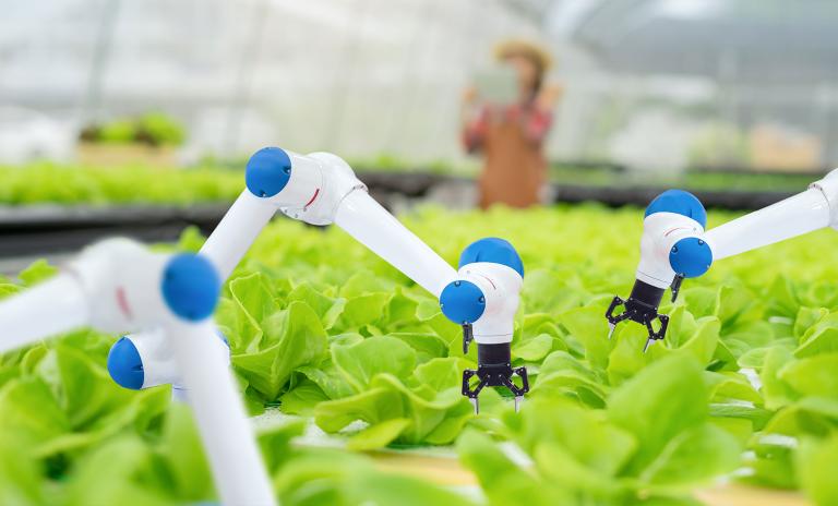 Precision agriculture has the potential to revolutionize the way we produce and consume food.