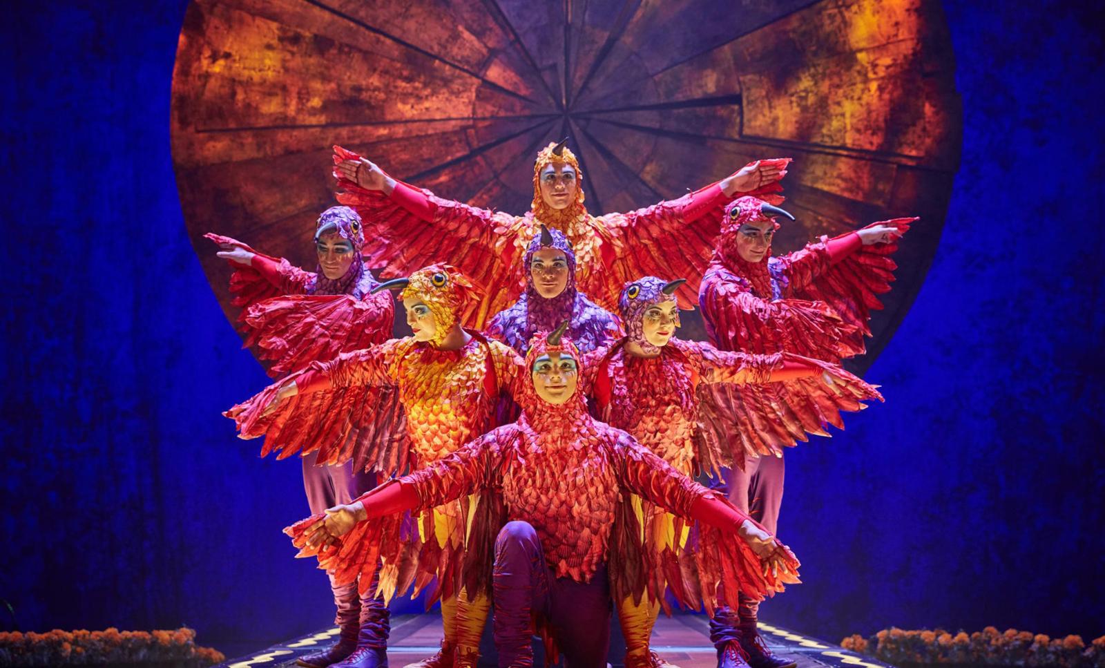 seven acrobats in hummingbird costumes jump through hoops barely 75 centimeters in diameter