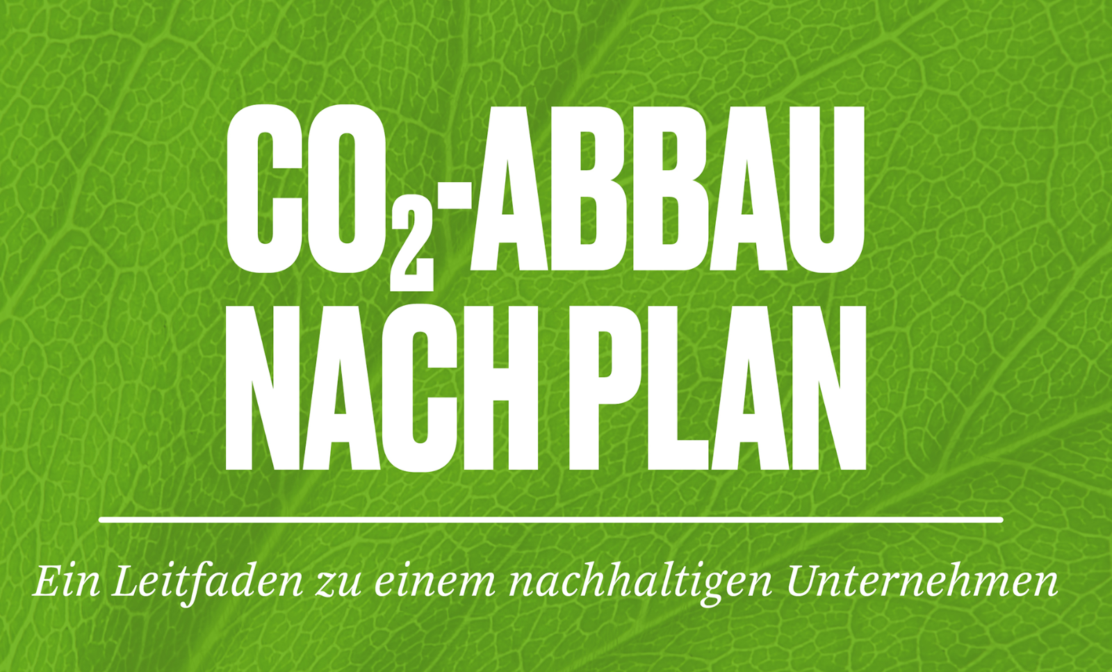 Die Collage zeigt: Eine antike Statue eines Mannes, der auf Müllsäcken sitzt, aus denen eine Hand herausragt. Eine überdimensionierte Sanduhr, die von einem Handwerker aufrecht gehalten wird, während von oben ein Mann riesige Euromünzen in die Sanduhr hineinrollt. Eine Reihe fallender Dominosteine. (c) Klawe Rzeczy, Getty Images