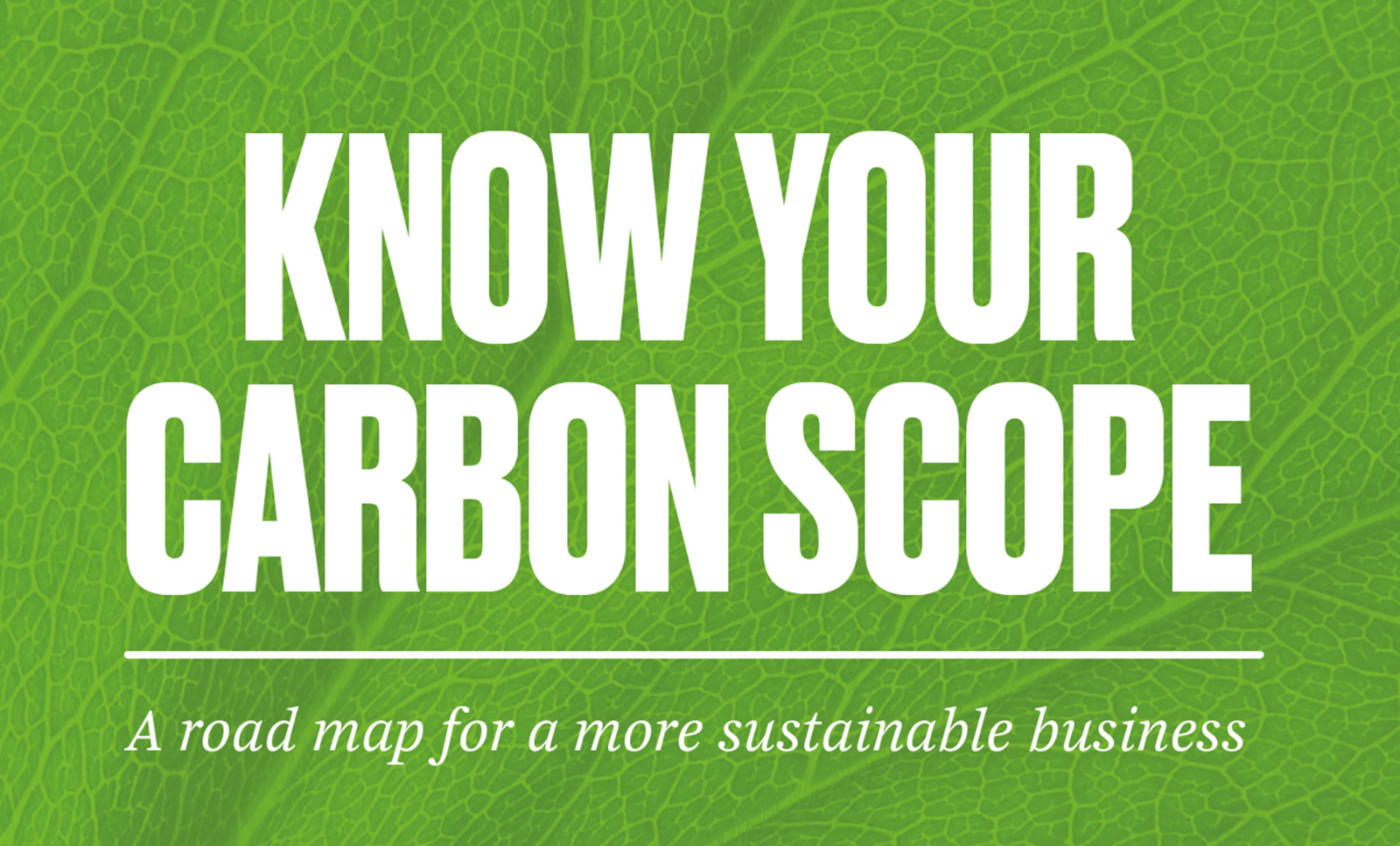 The title "Know your carbon scope" and the teaser below the title "A road map for a more sustainable business" are in front of a green leaf background.