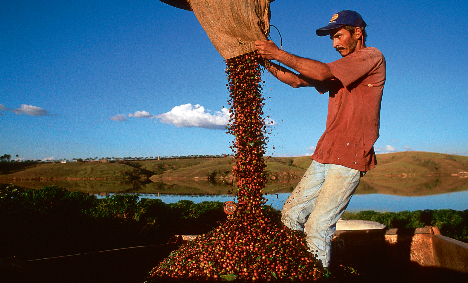 Unroasted coffee beans pouring out of a sack a man is holding. (c) Christopher Anderson/Magnum Photos