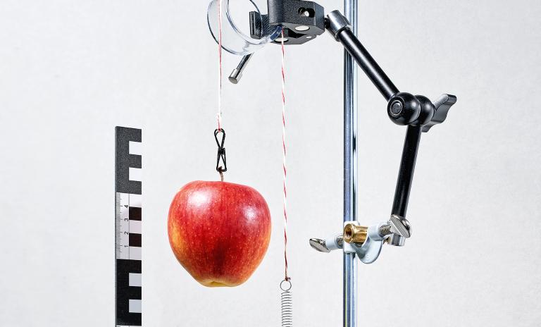 A metal stand similar to a lamp with a contraption clasped onto it in two places by vice screws, a large red apple hanging from the contraption on a thin red and white string and a metal spring at the bottom.
