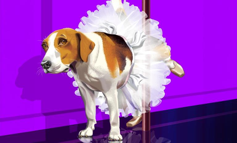 Beagle illustrated wearing a tutu and lifting hind leg against a pole, neon purple background.