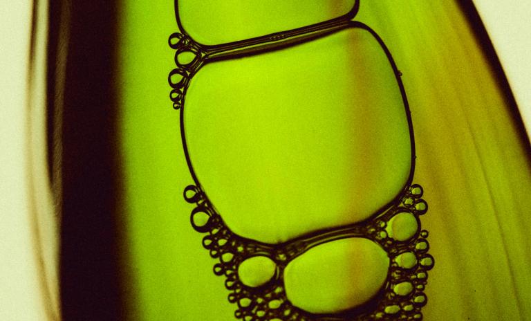 A close-up of air bubbles on a leaf underwater.