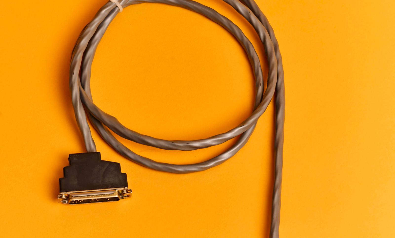 A close-up image of old ethernet cables against a yellow-orange background.