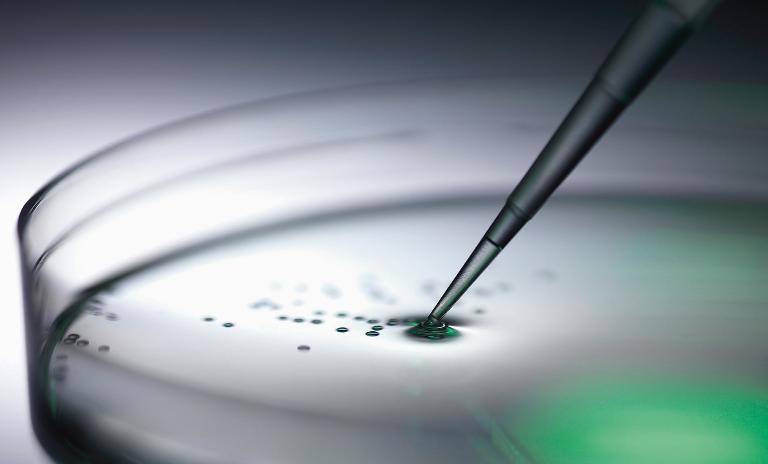 Big pharma companies could integrate regenerative medicine more into their business models.