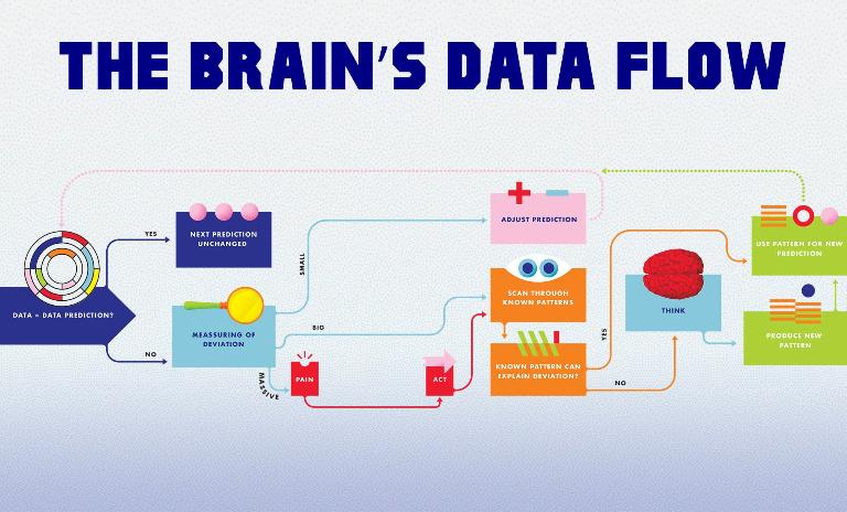 To think or not to think - the brain's data flow: The process we all know as "thinking" begins only after the brain has recognized a deviation from normal stimuli and does not have a known pattern with which it can predict coming events and react accordingly. Once the brain "thinks up" a new pattern, it will be used as a base on which future predictions can be made, potentially bypassing the thinking process altogether.