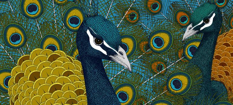 How evolution drives success in the digital era