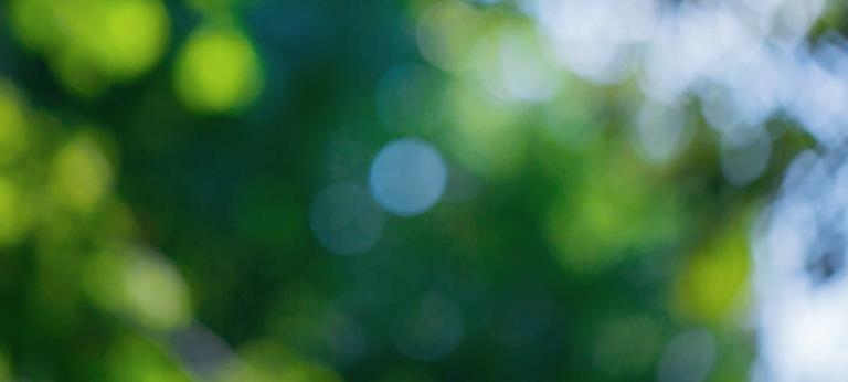 Raj Sisodia on the healing organization