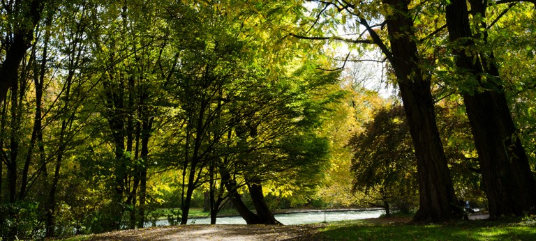 Beutiful park with trees and river