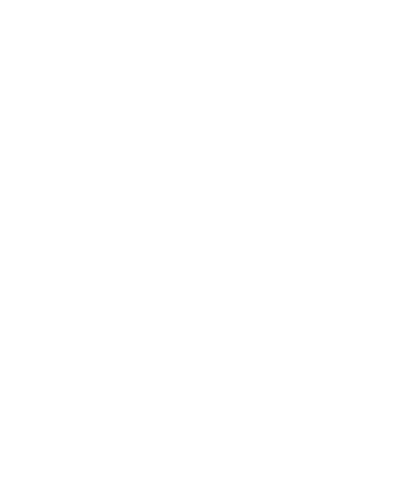Roland Berger Japan