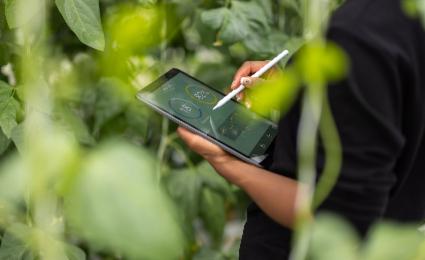 Sustainability in Operations