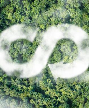 Building strategic resilience: Future skills for the circular economy and waste