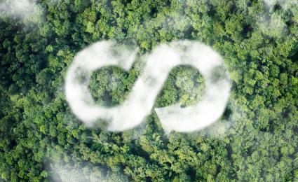 Building strategic resilience: Future skills for the circular economy and waste