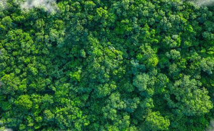 Unlocking the potential of CCUS