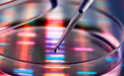 Global MedTech: Balancing innovation and operational efficiency