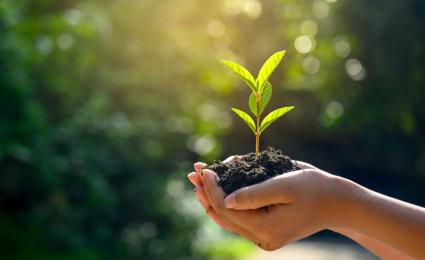 The complex shift to natural ingredients