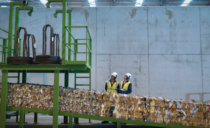 Sustainability and the emerging circular economy