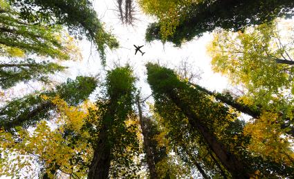 ESG ratings falter: rescuing them for the aerospace & defense sector