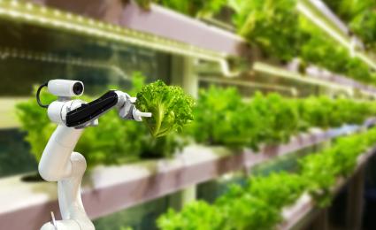 Controlled Environment Agriculture (CEA)
