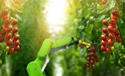 Improving Farm Outcomes Through Technology